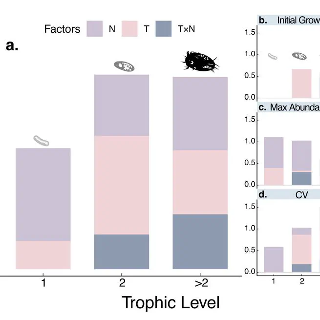 Temperature and nutrient interaction affects feedbacks between body size-abundance relationships